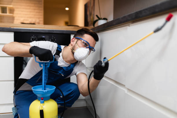 Best Flea Control Services  in Weiser, ID