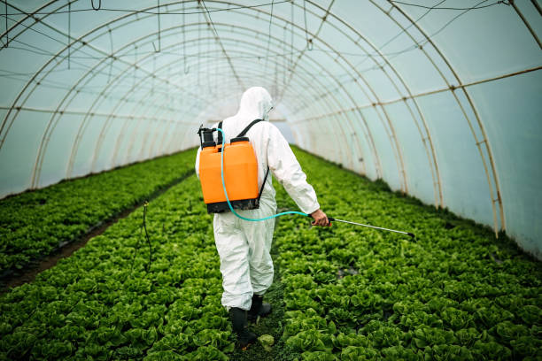 Best Pest Control Near Me in Weiser, ID