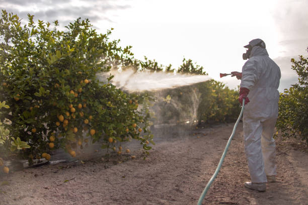 Best Pest Removal Services  in Weiser, ID