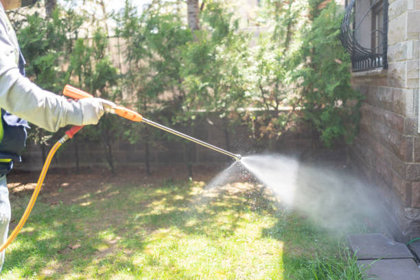 Professional Pest Control in Weiser, ID