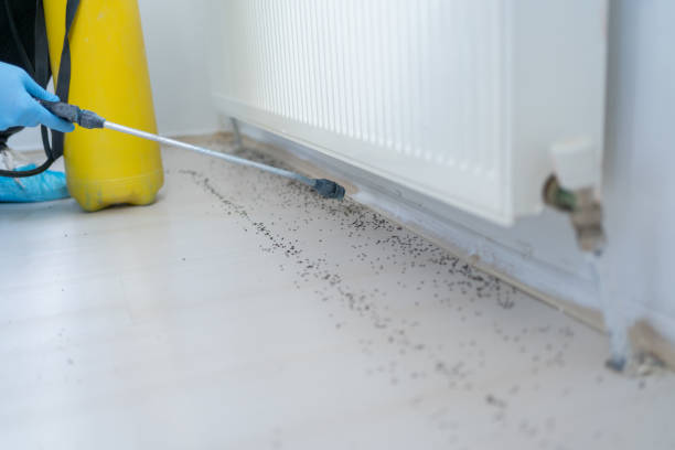 Best Commercial Pest Control Services  in Weiser, ID
