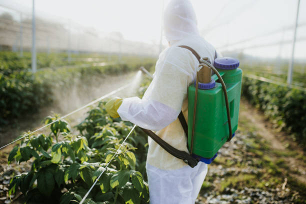 Best Insect Control  in Weiser, ID